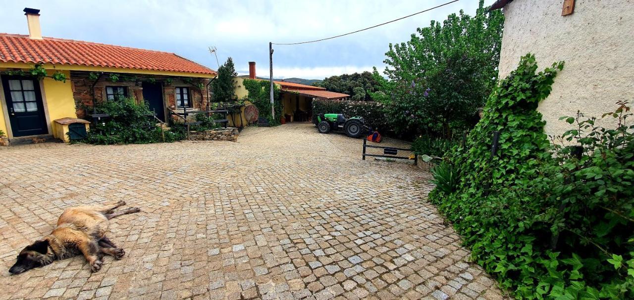 Vila Quinta Do Chao D'Ordem Vila Nova de Fozcoa Exteriér fotografie